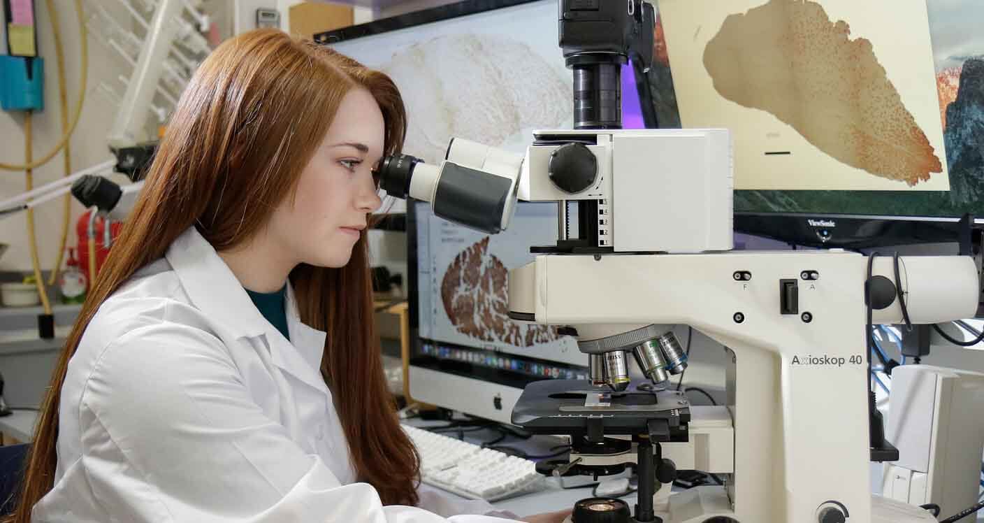 zoology research assistant jobs london